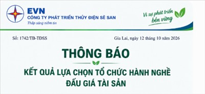 THÔNG BÁO KẾT QUẢ TỔ CHỨC LỰA CHỌN HÀNH NGHỀ ĐẤU GIÁ TÀI SẢN