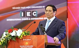 Thủ tướng: 'Thần tốc hơn nữa trong chuyển đổi số và tăng trưởng xanh' - Ảnh 1.